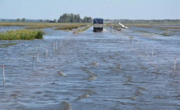 Inundaciones: camiones salen de los campos con 30% menos de carga
