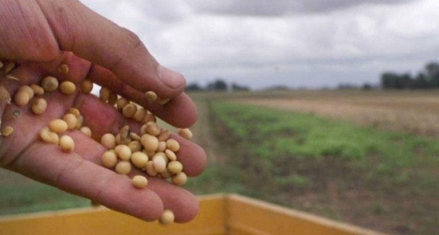 Juicio por $1.000 millones en el agro