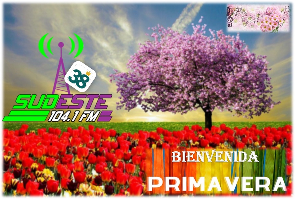 Sudeste FM 104.1 Mhz - Isla Verde