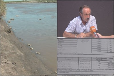 La Mortandad de peces en Arroyo Saladillo fue por aguas contaminadas